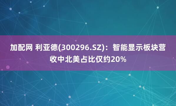 加配网 利亚德(300296.SZ)：智能显示板块营收中北美占比仅约20%